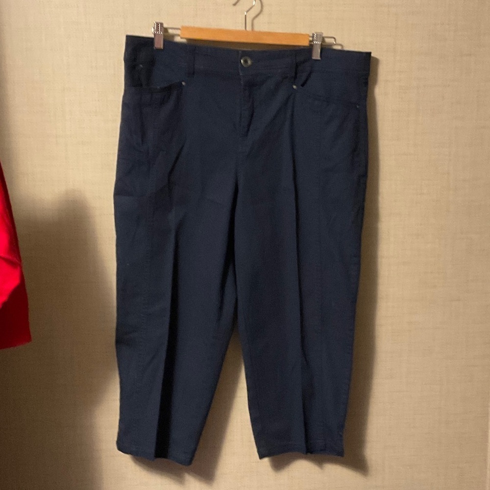 Style & Co. Navy Ankle Pants